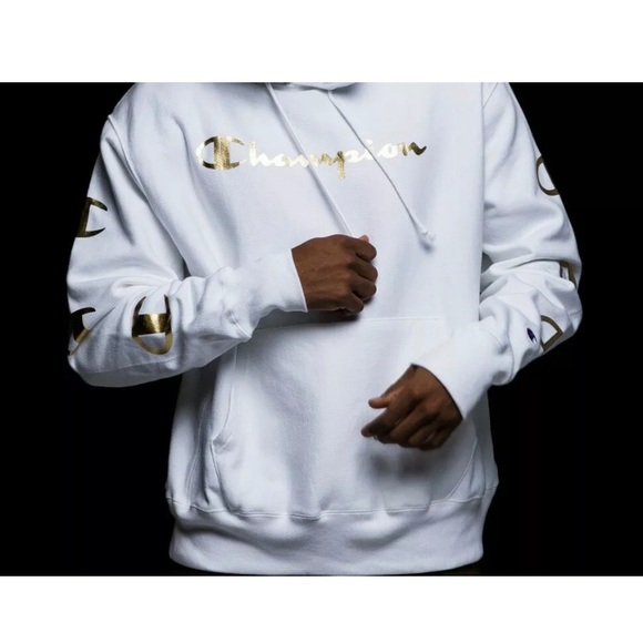 champion metallic script hoodie